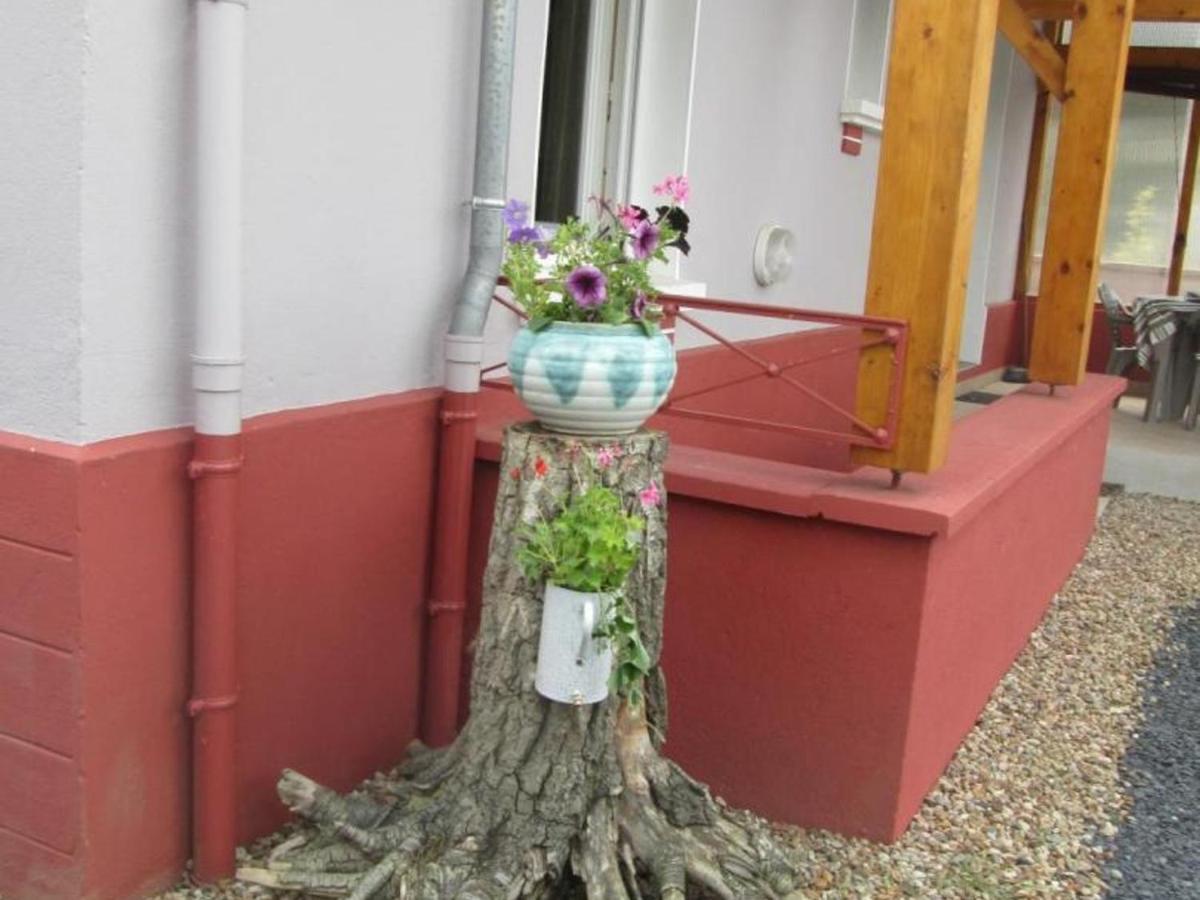 Gite Tout Confort A Molinet, Climatise, Avec Cour Close Et Proche De La Voie Verte ! - Fr-1-489-253 Buitenkant foto